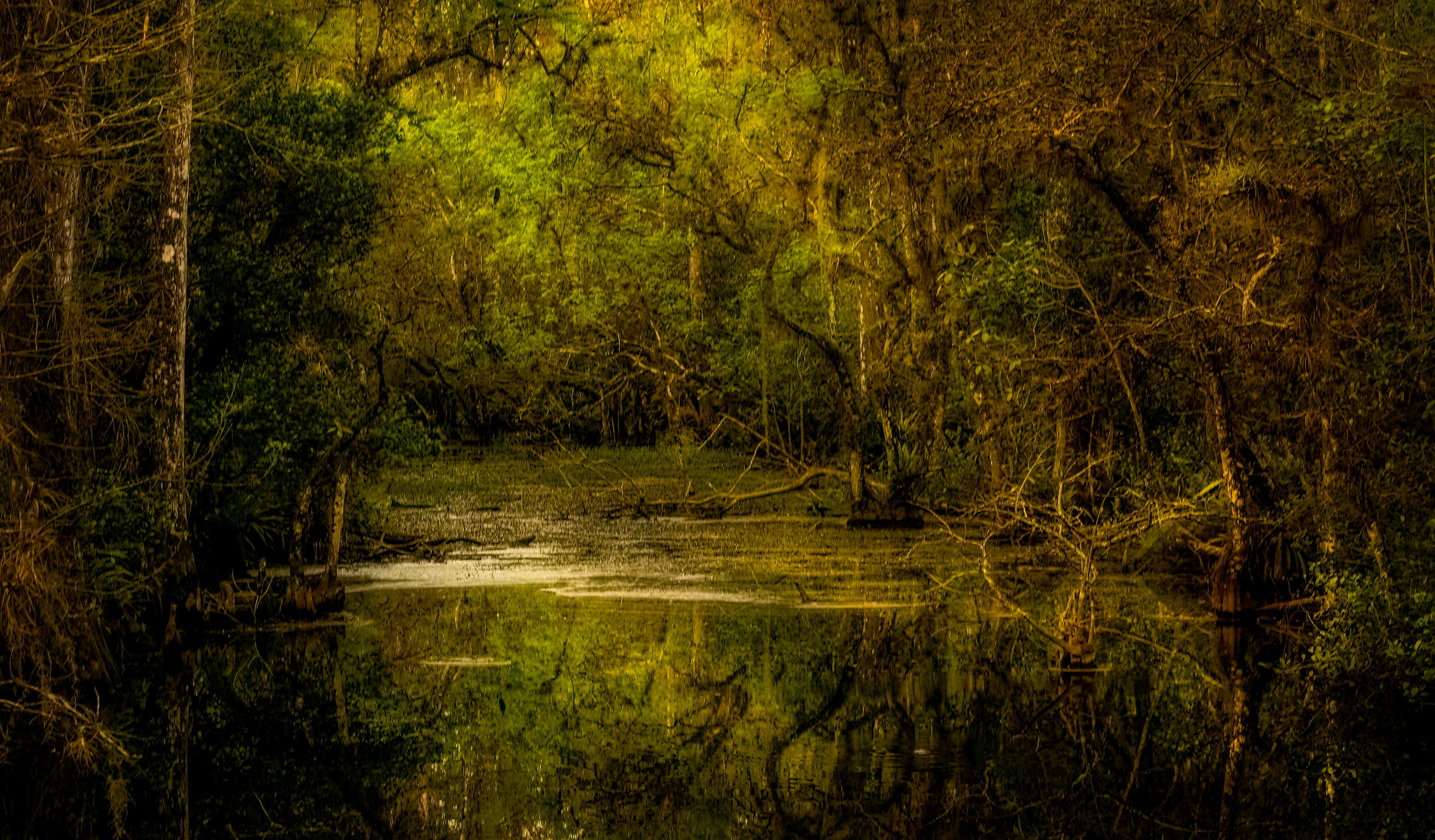 A bayou in Louisiana where bayou Cajun chili is inspired from.
